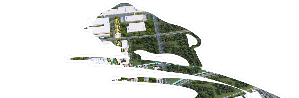 关于9888拉斯维加斯